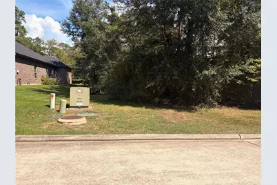 313 Pine Brook Drive, Montgomery, TX 77356 - Photo 2