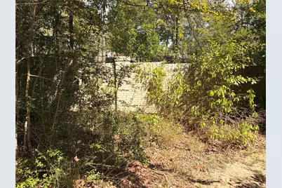 313 Pine Brook Drive, Montgomery, TX 77356 - Photo 26