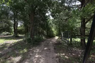 11994 Long Trussel Rd, Bryan, TX 77808 - Photo 10