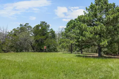 3941 County Road 219, Anderson, TX 77830 - Photo 34