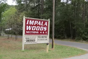 Lot 22 Gnu St, Onalaska, TX 77360 - Photo 1