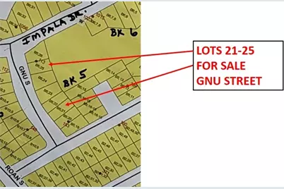 Lot 22 Gnu Street, Onalaska, TX 77360 - Photo 32