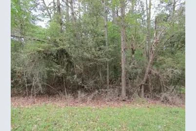 Lot 22 Gnu Street, Onalaska, TX 77360 - Photo 26