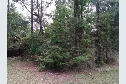 Lot 22 Gnu Street, Onalaska, TX 77360 - Photo 24