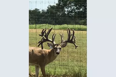 6116 E State Highway 71, La Grange, TX 78945 - Photo 38