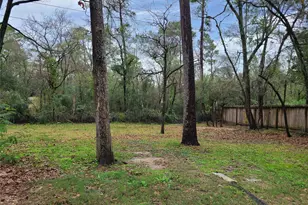 24407 Norchester Way, Spring, TX 77389 - Photo 24