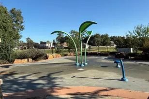 415 Binnacle Way, Crosby, TX 77532 - Photo 48