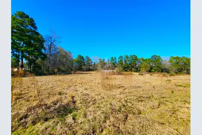 19320 Willaby Road, New Caney, TX 77357 - Photo 14