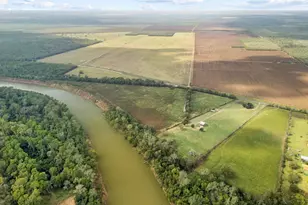 3384 FM 1458 Rd, Sealy, TX 77474 - Photo 2