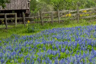 4523 Sunny Hazel Ln, Fulshear, TX 77441 - Photo 20