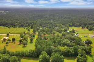 12964 Kowis Ln, Plantersville, TX 77363 - Photo 22
