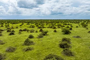 Tbd Rice Rd, Cat Spring, TX 78933 - Photo 32