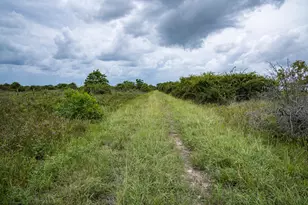 Tbd Rice Rd, Cat Spring, TX 78933 - Photo 18