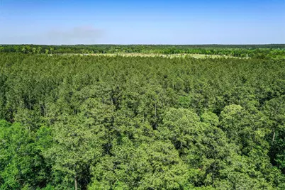 Tbd Queen Anne Way, Huntsville, TX 77340 - Photo 12