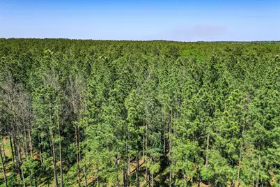 Tbd Queen Anne Way, Huntsville, TX 77340 - Photo 16