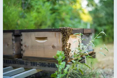 6970 Longmire Road, Conroe, TX 77304 - Photo 42