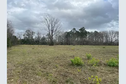 000 County Road 2367, Liberty, TX 77575 - Photo 4