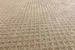 4303 Childress St, Houston, TX 77005 - Photo 12