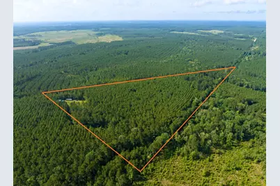 1 S Caney Road, Groveton, TX 75845 - Photo 24