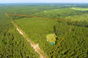 1 S Caney Rd, Groveton, TX 75845 - Photo 1
