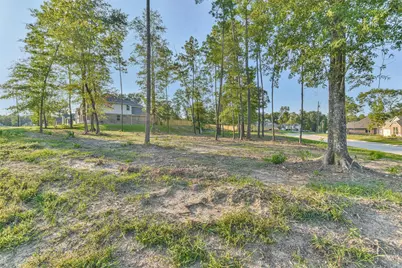 102 Whelan Lane, New Waverly, TX 77358 - Photo 48