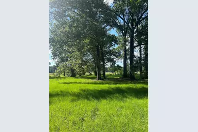 164 Parker Road, Corrigan, TX 75939 - Photo 28