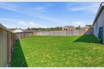 651 Spring Ashberry Court, Magnolia, TX 77354 - Photo 30