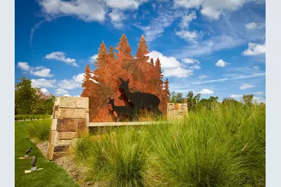 117 Cypress Pond Place, Montgomery, TX 77316 - Photo 20