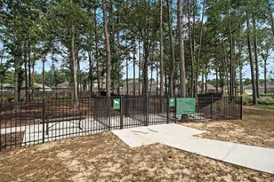 20882 Wildbird Cherry St, Porter, TX 77365 - Photo 22