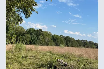 Tbd Park Lane, Chappell Hill, TX 77426 - Photo 4
