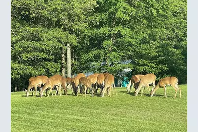 410 Coast Loop, Trinity, TX 75862 - Photo 28