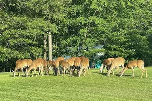 410 Coast Loop, Trinity, TX 75862 - Photo 28