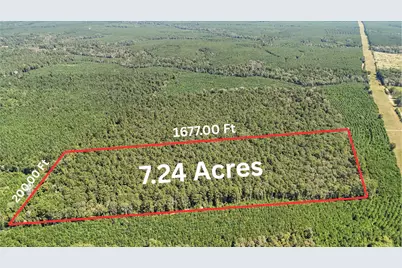 3904 Richardson Road E, Livingston, TX 77351 - Photo 2