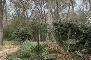 3900 Aspen Dr, Montgomery, TX 77356 - Photo 12