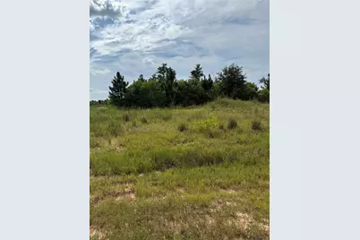 308 Road 5601, Cleveland, TX 77327 - Photo 4