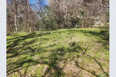 000 Linda Chain Road, Livingston, TX 77351 - Photo 2