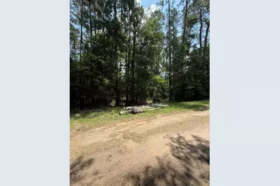 220 Lakeshore Point, Livingston, TX 77351 - Photo 2