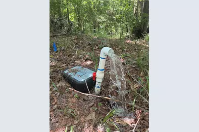 220 Lakeshore Point, Livingston, TX 77351 - Photo 10