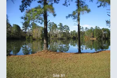 81 Pine Meadow, Cleveland, TX 77327 - Photo 1