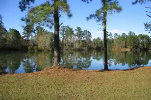 81 Pine Meadow, Cleveland, TX 77327 - Photo 1