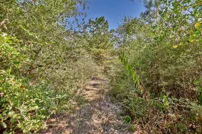 28850 Riley Road, Waller, TX 77484 - Photo 22