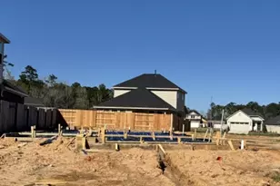 15454 Park Perch Pl, Magnolia, TX 77354 - Photo 10