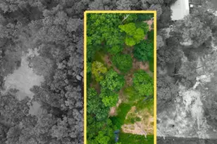 19157 Bedford, New Caney, TX 77357 - Photo 1