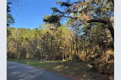 000 Rose Hill Road, Coldspring, TX 77331 - Photo 6
