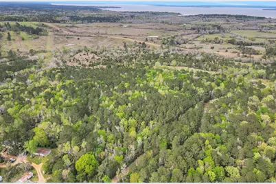 000 Rose Hill Road, Coldspring, TX 77331 - Photo 10