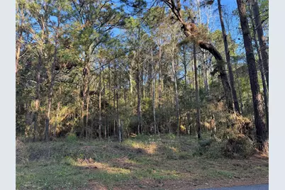 000 Rose Hill Road, Coldspring, TX 77331 - Photo 4