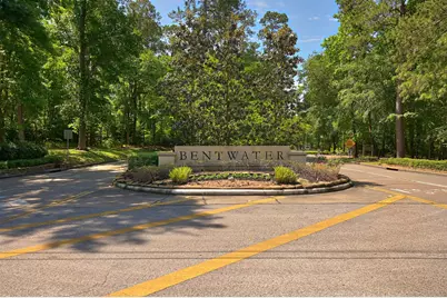 101 Bermuda Circle, Montgomery, TX 77356 - Photo 46