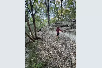 4421 Rehburg Road, Brenham, TX 77835 - Photo 8