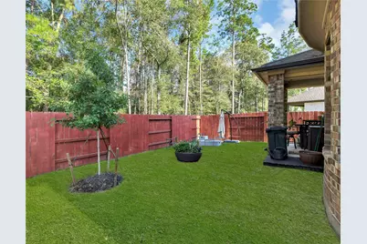 17455 Vino Vines Lane, Conroe, TX 77302 - Photo 24