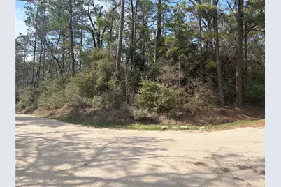 Tbd Little Ponderosa Drive, Onalaska, TX 77360 - Photo 2